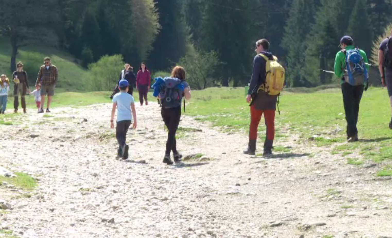 Cum s-au pregătit doi turiști montani pentru o eventuală întâlnire cu ursul: „în caz de ceva, suntem noi așa, mai fricoși"