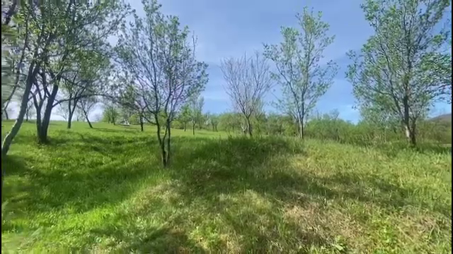 Un bebeluș a fost găsit mort pe un câmp din Satu Mare. Mama copilului este o adolescentă. Marea dilemă a anchetatorilor