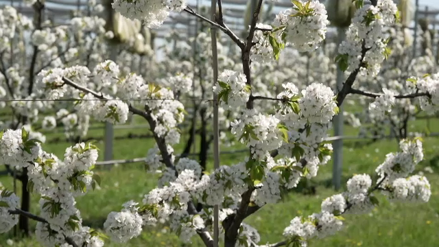 Peste 30 de grade, la jumătatea lunii martie. Meteorologii anunță însă că se întorc ninsorile