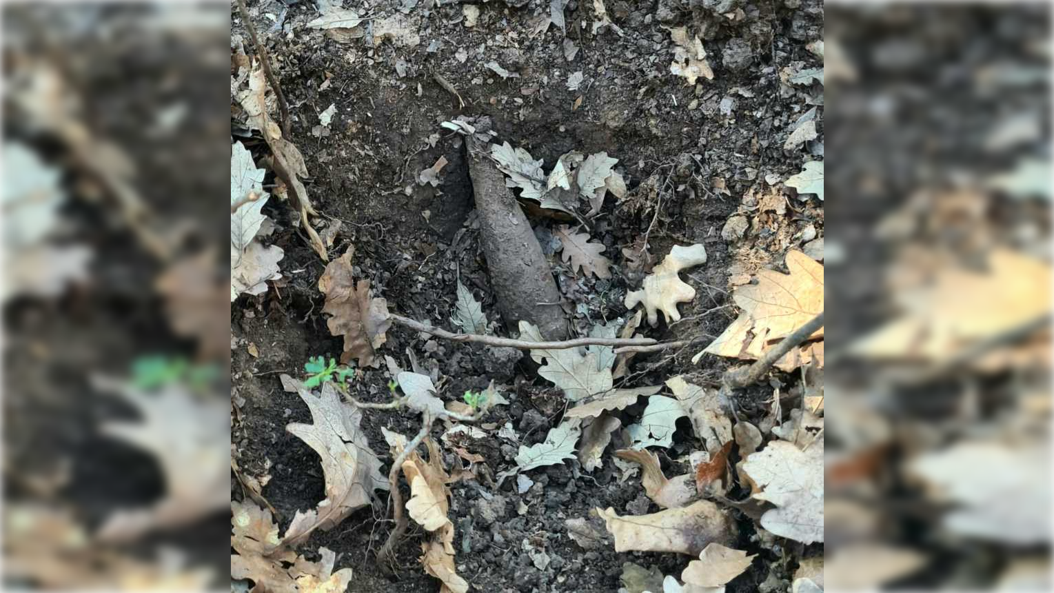 Proiectil exploziv trasor, descoperit într-o pădure din Giurgiu. A fost găsit cu ajutorul unui detector de metale