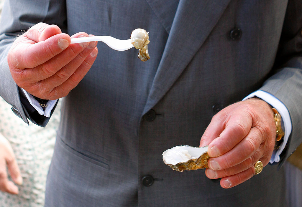 regele charles stridii