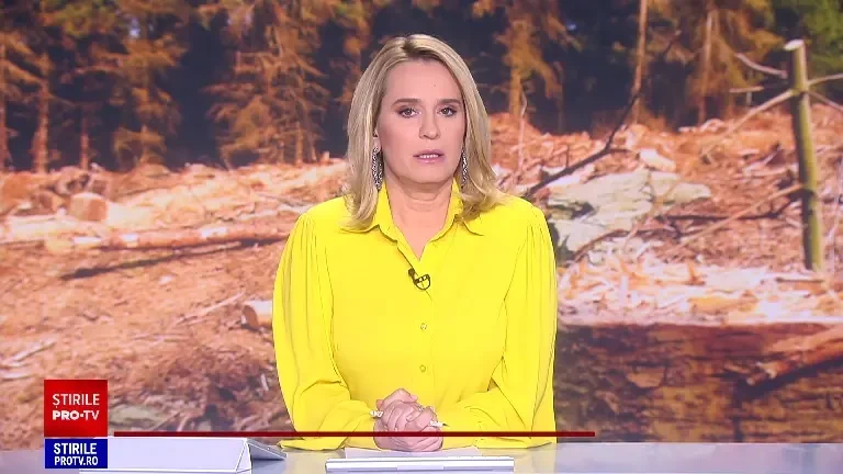 Greenpeace: „Gigantul suedez IKEA distruge ariile protejate verzi ale României, printre ultimele păduri seculare din Europa”