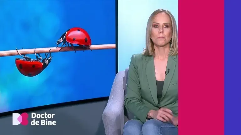 De ce majoritatea oamenilor experimentează aritmiile. Cum suferă inima noastră din cauza emoțiilor