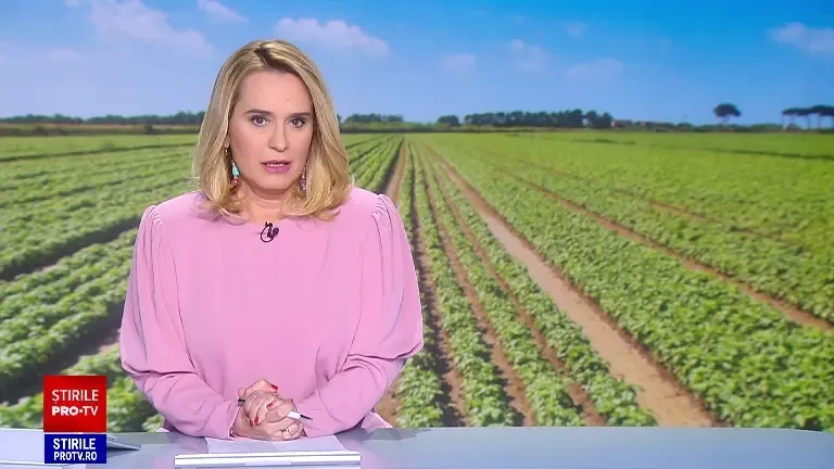 Reziduuri de pesticide peste limitele maxime admise au fost descoperite în verdețurile de sezon