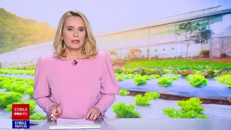 Mâncarea „bio” câștigă teren în România, datorită prețului. În ultimul an s-a scumpit mai puțin decât cea „convențională”