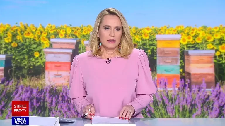 Albinele ar putea muri din cauza temperaturilor prea ridicate. Avertismentul apicultorilor