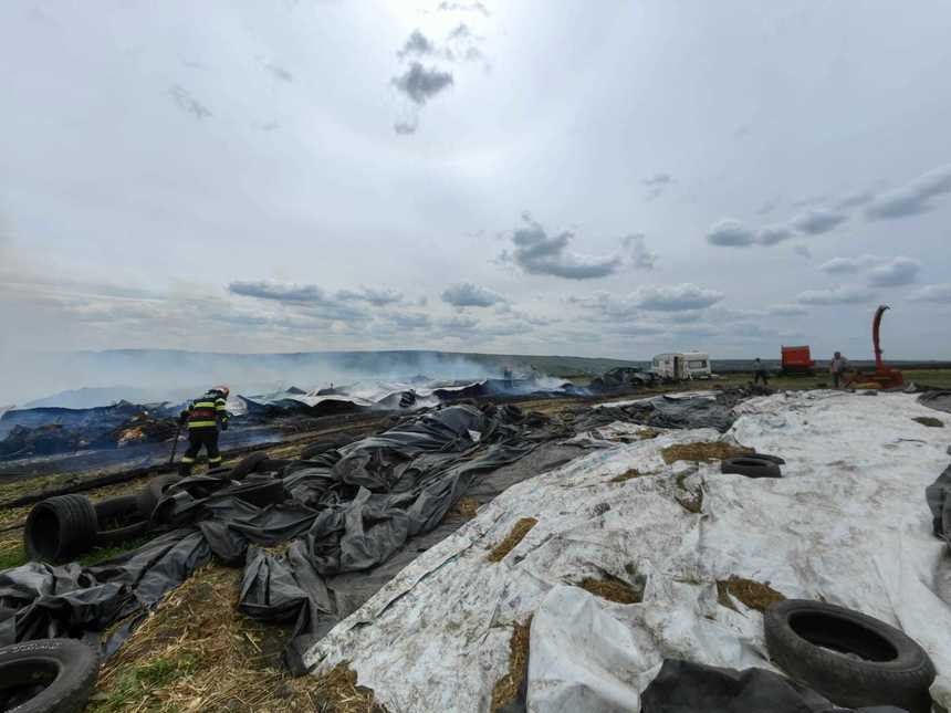 Incendiu de proporții la o fermă de animale din judeţul Botoşani. 70 de vaci au murit