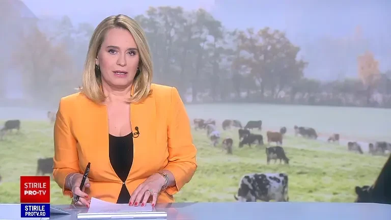 Industria care înflorește în România. Producția a explodat în ultimul an, în mare parte datorită importurilor