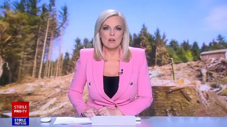 IKEA, acuzată că taie ilegal copaci din pădurile pe care le deține în România. „Parcelă cu parcelă rad tot”