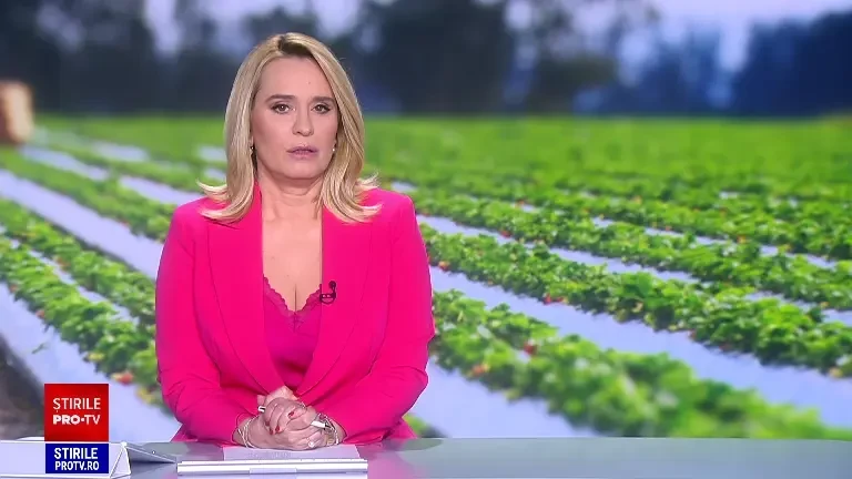 Căpșunile românești s-au copt cu trei săptămâni mai devreme decât anul trecut. Cât costă un kilogram în piețe