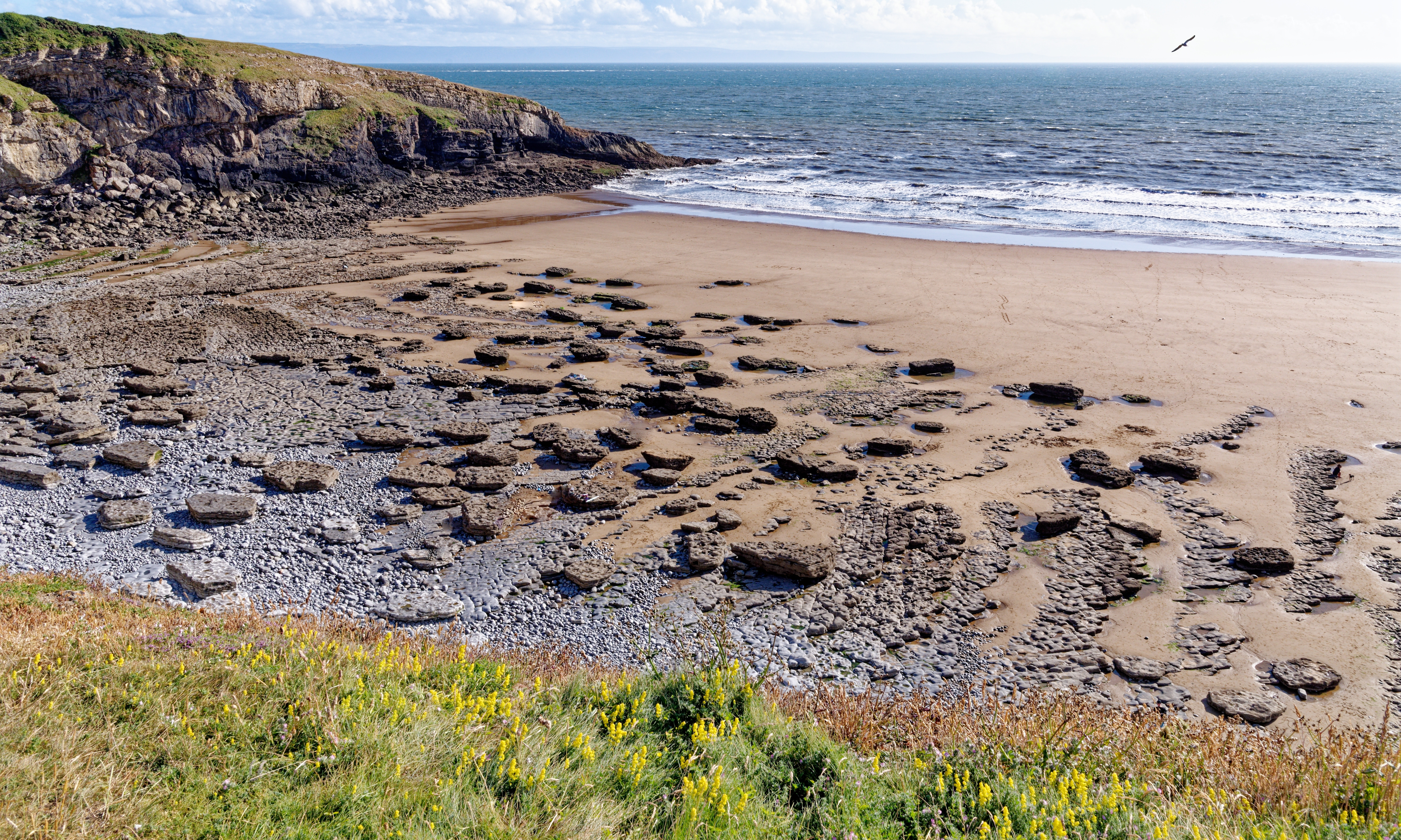 Un copil a găsit mai multe oase „de dinozaur” pe o plajă unde s-au filmat scene din „Doctor Who”. Ce erau de fapt