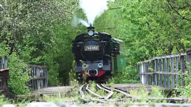 Excursie cu mocănița de la Sovata. Experiența pe care niciun turist nu o ratează