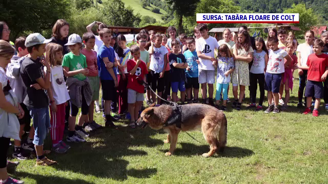 Mai multe mitropolii și episcopii din țară organizează tabere de vară. Ce vor face acolo copiii