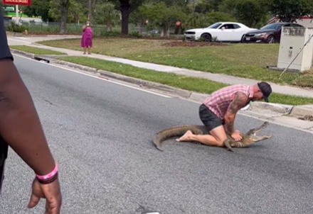 Un bărbat s-a luptat cu un aligator de 2,4 metri cu mâinile goale. Momentul terifiant a fost filmat. VIDEO