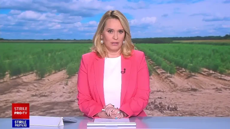 Românii se întorc de la cules de sparanghel din străinătate și investesc în propriile culturi. Cererea a crescut