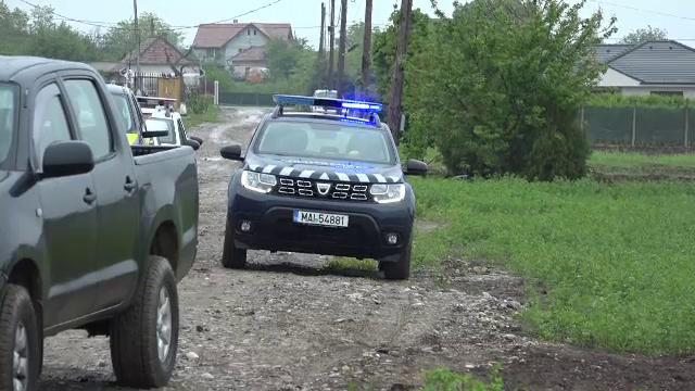 Un urs de 250 de kilograme a fost rănit grav de o mașină pe A1. Din cauza rănilor foarte grave animalul a fost eutanasiat