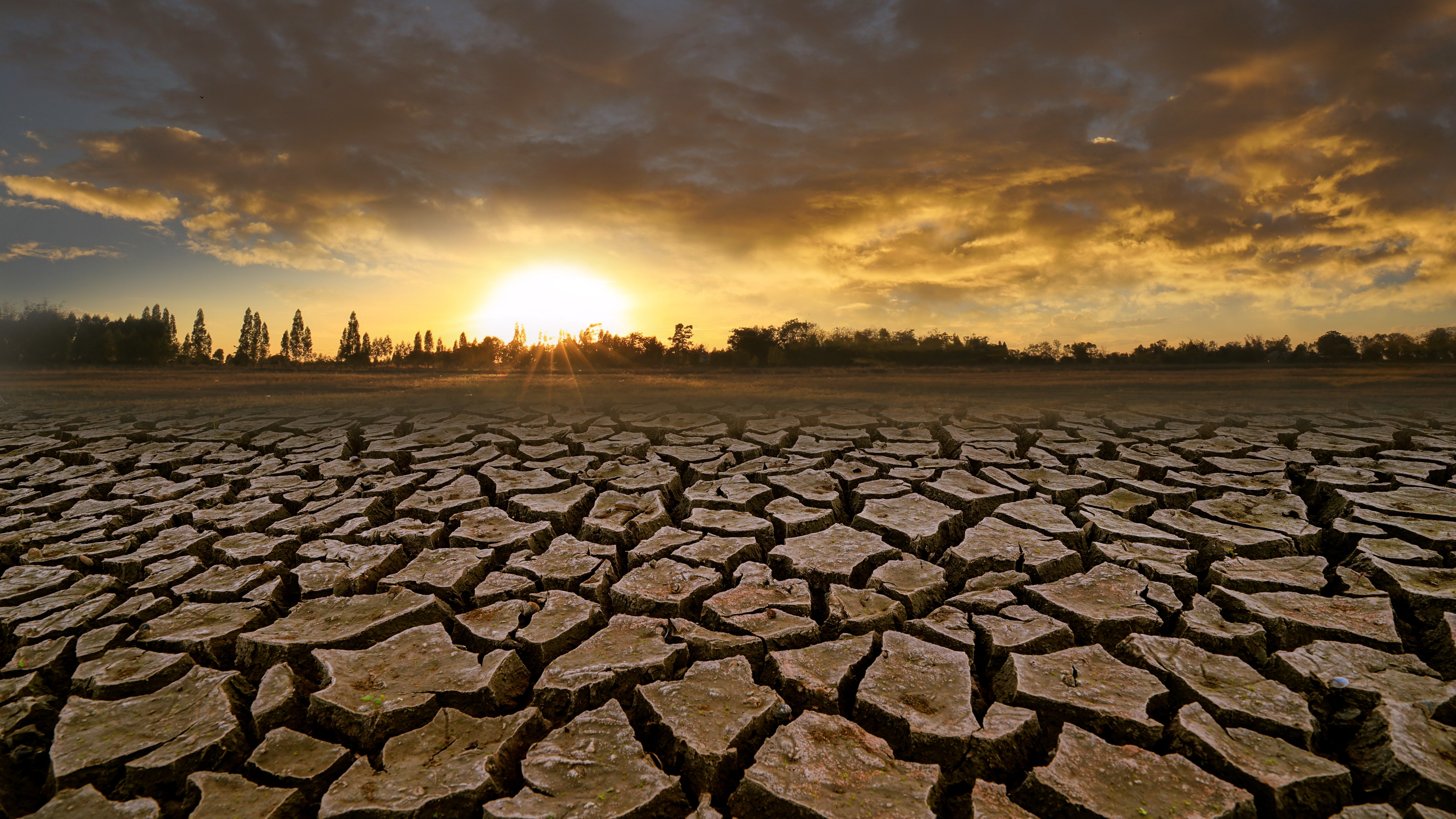 Semnele vitale ale Pământului arată un viitor sumbru pentru umanitate, spun experții în climă