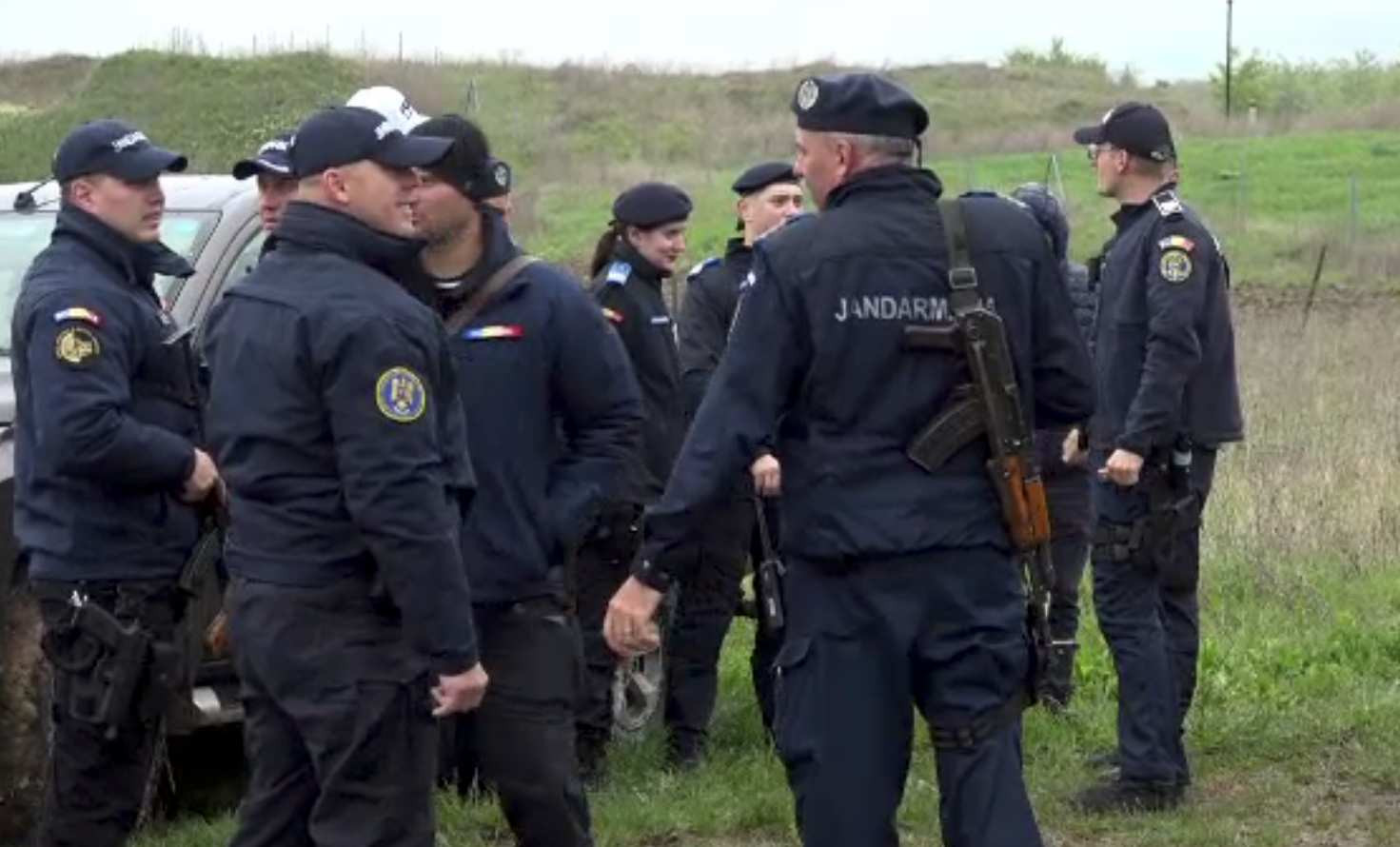 Un urs lovit de mașină pe A1 a fost eutanasiat. Era rănit grav și punea în pericol oamenii din zonă