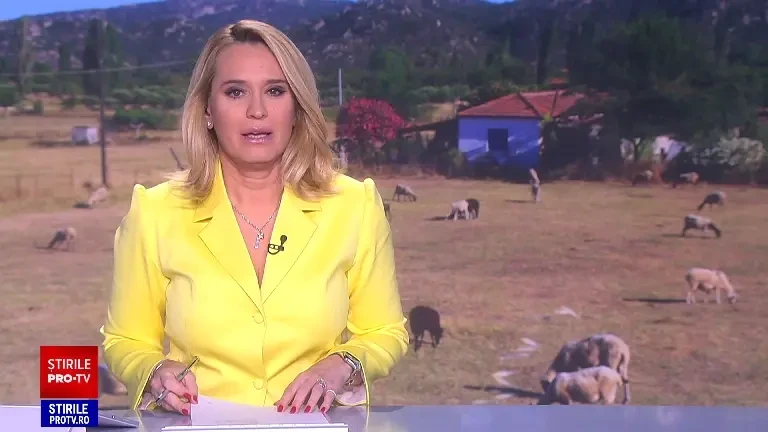 Mieii din România care nu s-au vândut de Paștele trecut ar fi acum în piețele din Grecia, prezentați drept carne proaspătă