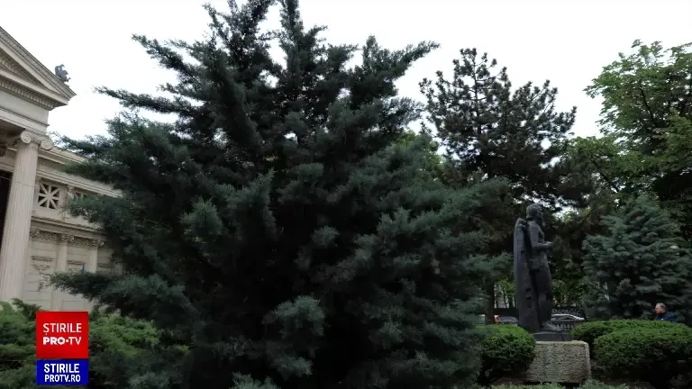 Filarmonica George Enescu și Ateneul Român își propun să devină inima culturală a Bucureștiului