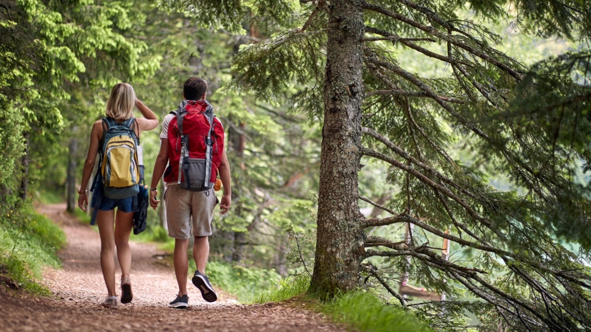 Ce pățesc tot mai mulți români când merg pe munte. Avertismentul salvamontiștilor