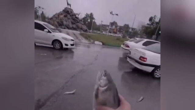 Orașul în care a început să plouă cu pești din senin. Oamenii de ştiinţă din zonă au venit cu o explicație | Video