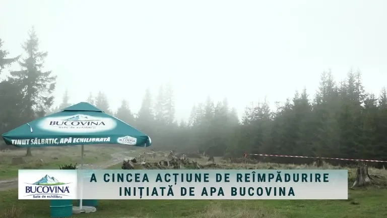 (P) A cincea acțiune de reîmpădurire inițiată de Apa Bucovina