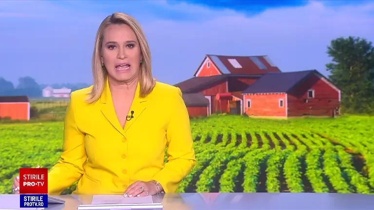 Animalul popular în România care dă laptele din care se face cea mai scumpă brânză din lume - 1.000 euro/kg