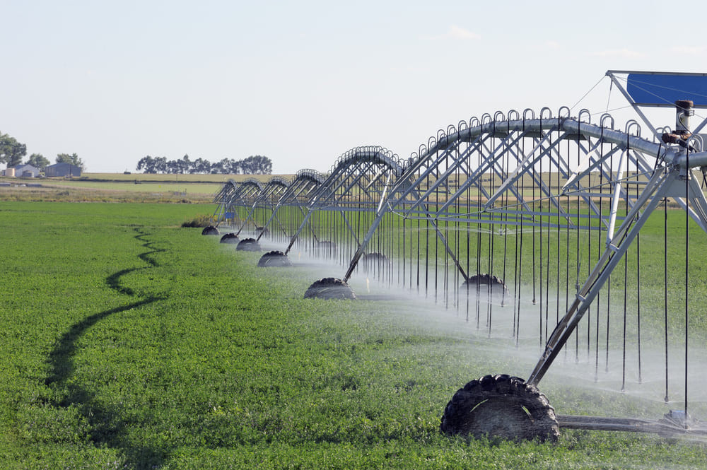 (P) Agricultura sustenabilă: rolul stațiilor de epurare în fermele moderne