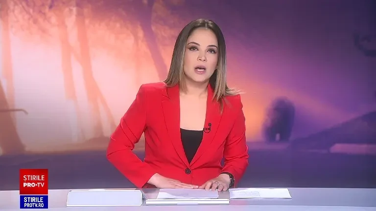 Panică în Târgu Mureș, după ce doi urși și-au făcut apariția pe platoul Cornești. A fost nevoie de intervenția jandarmilor