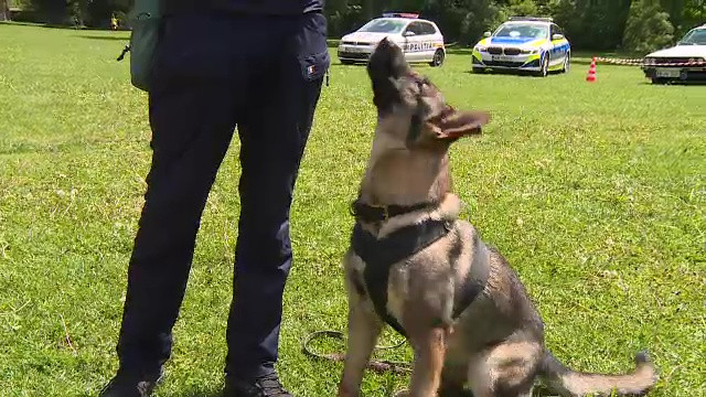 Cum încearcă polițiștii să atragă tinerii interesați de această profesie: ”Sunt 1340 de locuri la școala de agenți”