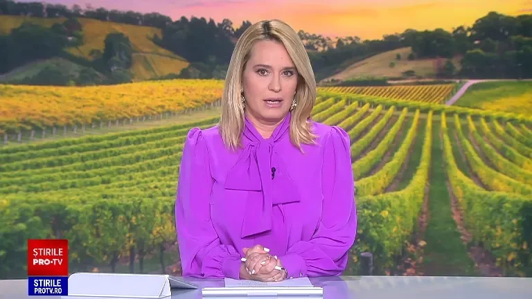 Cât s-au chinuit românii să își modernizeze fermele cu bani de la UE. Domeniul a scos la iveală și fraude de proporții