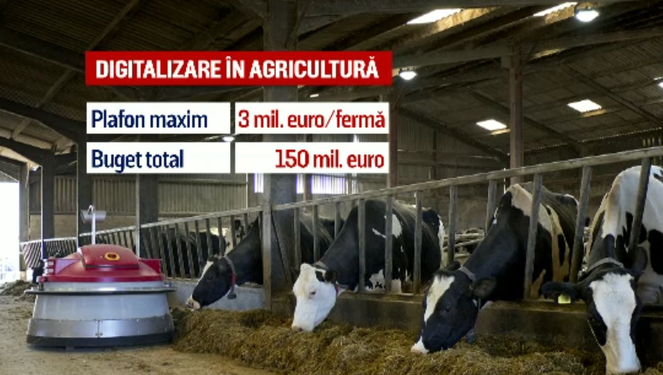 Ferme românești modernizate cu bani europeni. Ce fel de roboți rezolvă problema crizei forței de muncă