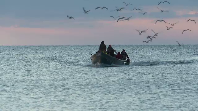 Ce au prins pescarii români în Marea Neagră. S-au întors cu bărcile pline