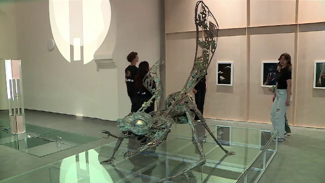 A început Romanian Creative Week. Iașiul devine pentru 12 zile capitala creativității. „E o expoziție grozavă”