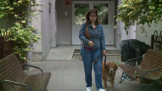 Acces liber în toate spațiile publice pentru câinii ghizi ai persoanelor cu dizabilități. Legea a fost promulgată