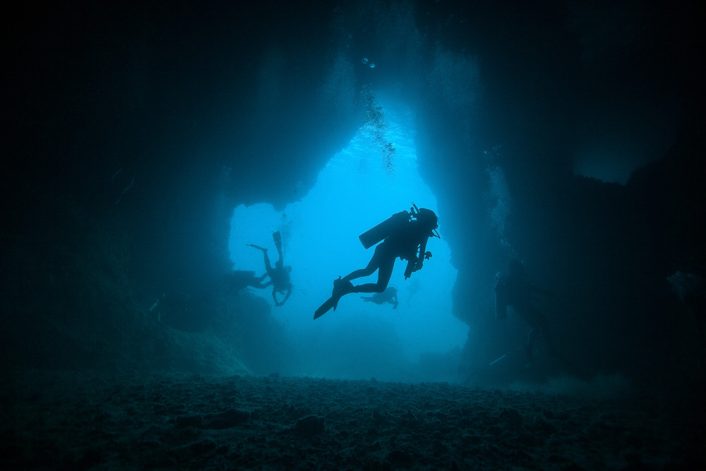 O creatură marină ”mare”, cu gheare ”asemănătoare cu lamele”, descoperită în Marea Chinei de Sud. Este o specie nouă