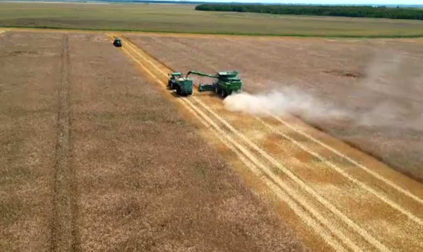 Românii care vor primi bani în plus de la stat. Sumele care le vor fi virate în cont