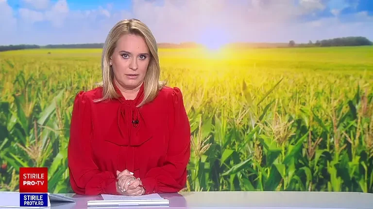 Românii care vor primi bani în plus de la stat. Sumele care le vor fi virate în cont