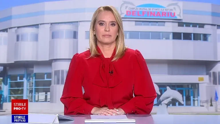 Delfinariul din Constanța, redeschis. "Baby", puiul de delfin născut în captivitate, a fost vedeta publicului