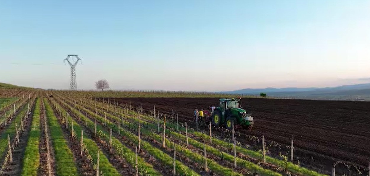 Domeniul în care românii obțin premii internaționale, dar din care nu lipsește frauda atunci când se cer fonduri europene