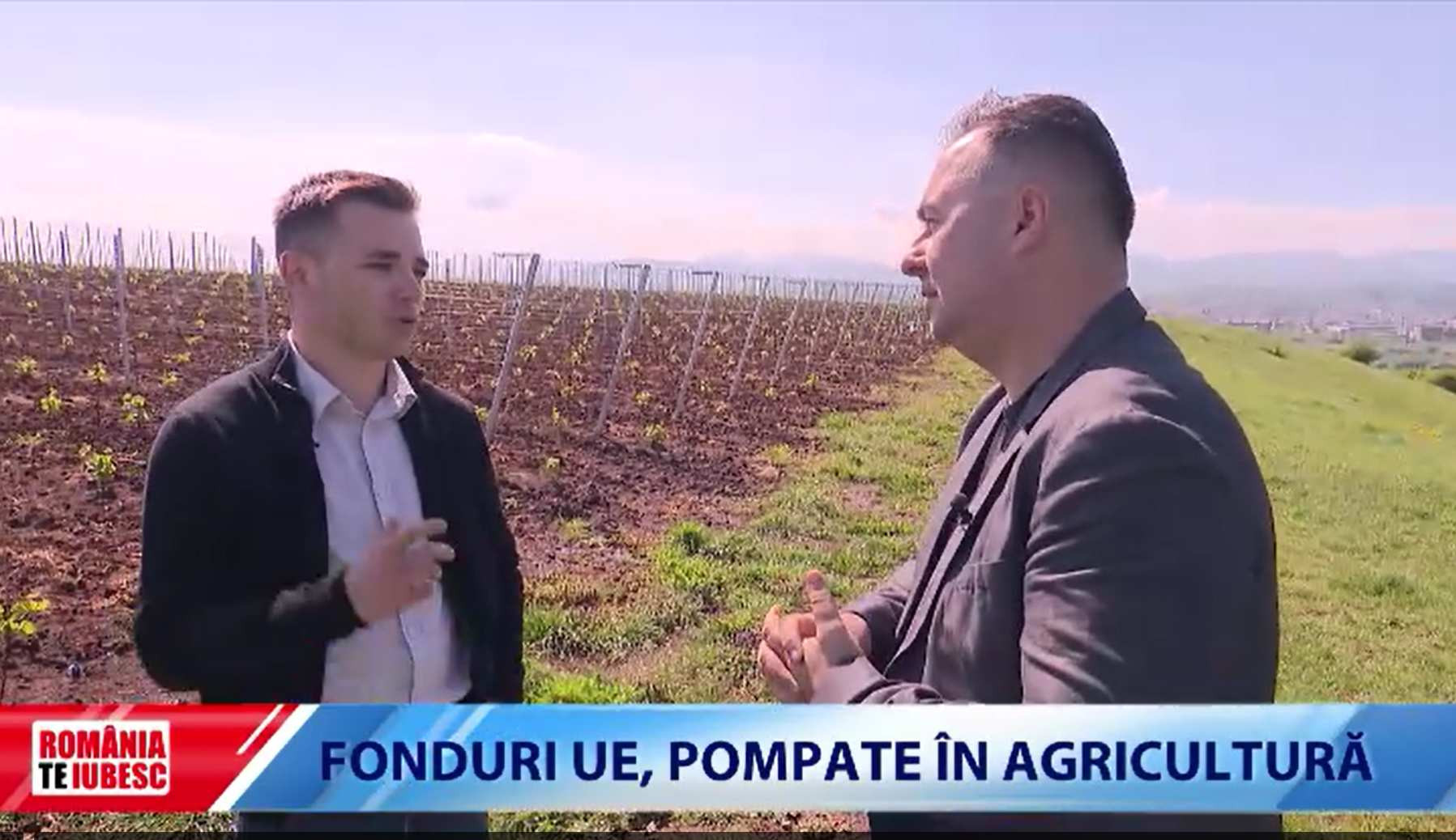 Povestea românilor care au muncit în viile din Germania, apoi s-au întors în țară. Acum, vinurile lor câștigă premii în lume