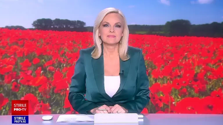 Câmpurile s-au umplut de maci, aproape de Timișoara. Cât încasează fotografii pentru o ședință foto