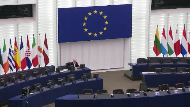 Europarlamentarii vor ca directorii big tech să fie trași la răspundere personal dacă platformele nu protejează copiii online