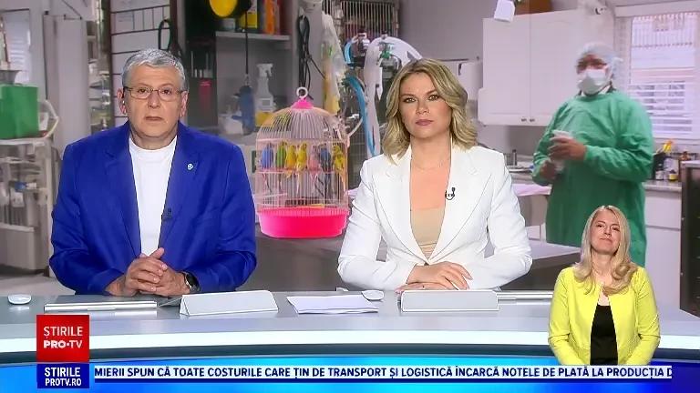 Clinicile veterinare de la noi s-au specializat în îngrijirea animalelor exotice. Medicii tratează pacienți de toate felurile