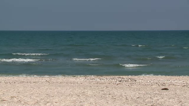 Greenpeace solicită oprirea imediată a exploatării zăcământului de gaze Neptun Deep din Marea Neagră