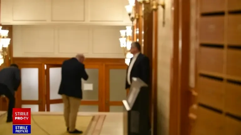 Deputatul PNL Florin Roman susține că a fost bătut în Parlament de deputatul liberal Dan Vîlceanu, ”în mod golănesc”