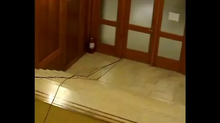 VIDEO cu momentul în care deputatul Florin Roman este atacat în Parlament