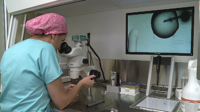 Fertilitatea femeilor și bărbaților este afectată de prezența unor fragmente minuscule de plastic în organism