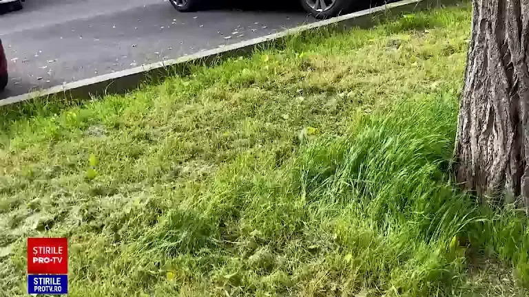 Ce spune avocatul lui Vlad Pascu după schimbarea judecătoarei